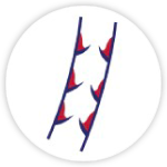 dvt Complex Venous Disease