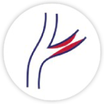 peripheral arterial disease